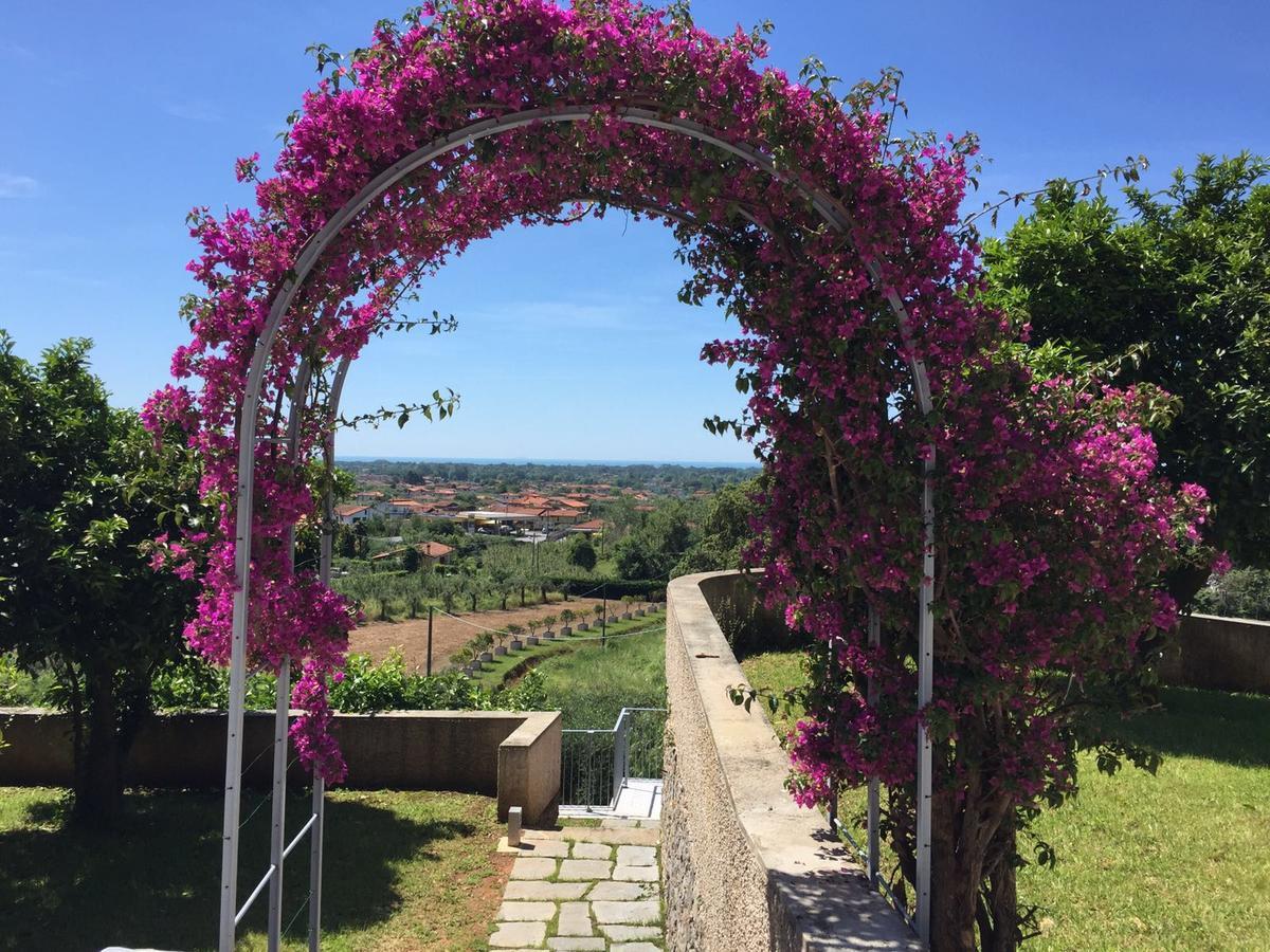 Relais Montepepe Winery & Spa モンティニョーゾ エクステリア 写真